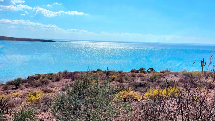 Western shoreline of Península Paraíso facing the channel and port