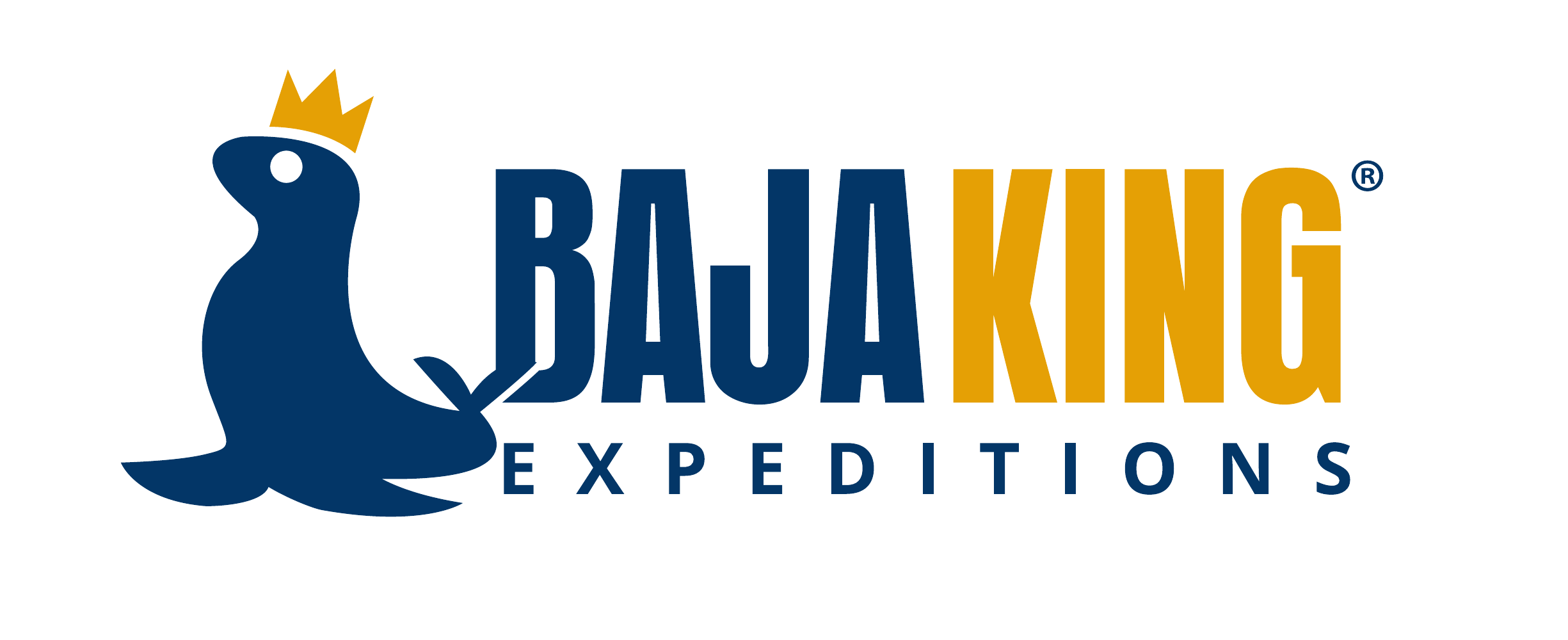 Baja King Expeditions